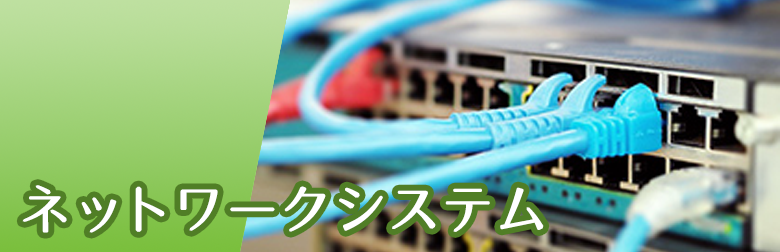 ネットワークシステム